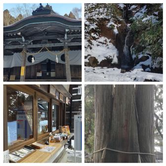 天八意思兼命（あめのやごころおもいかねのみこと）🙏樹齢800年の杉