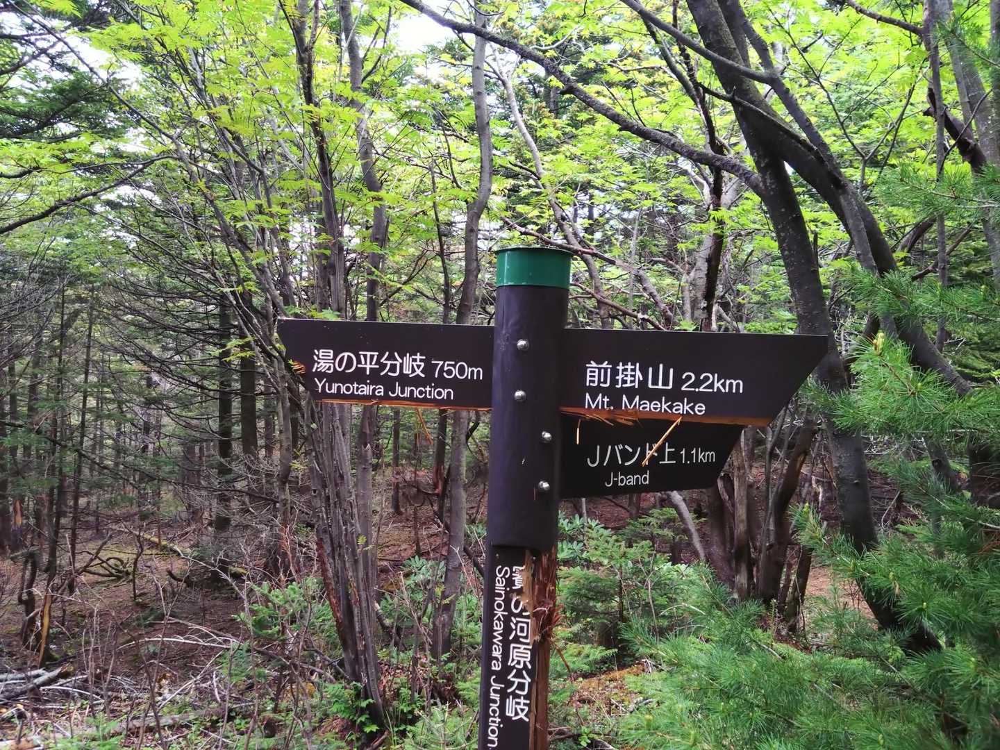 前掛山にむかいます