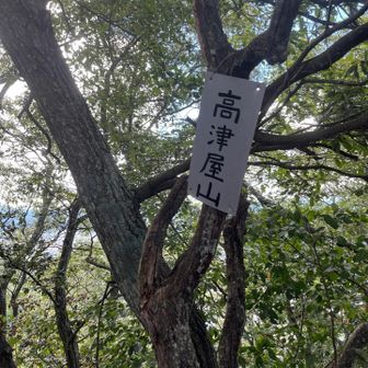 ピークに砦を築いたということでしょう、城跡に山頂標識があります。