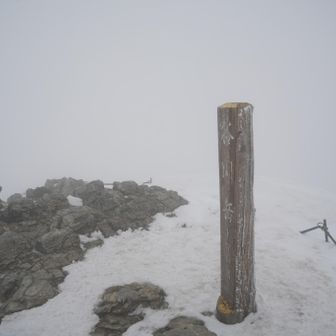 トマノ耳▲1963m到～～着！
景色は真っ白だけど達成感すごい
ちょっと風が弱くなってきた
ならオキノ耳も行ってみよう