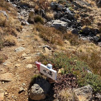岩苔乗越から少し降った水場、チョロですが水出てます
