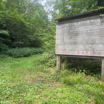 下の廊下みたいな場所を通ったりしてようやく林道終点というポイントにつく。
案内板によると、ここから大石ダムまで8km程度らしい。