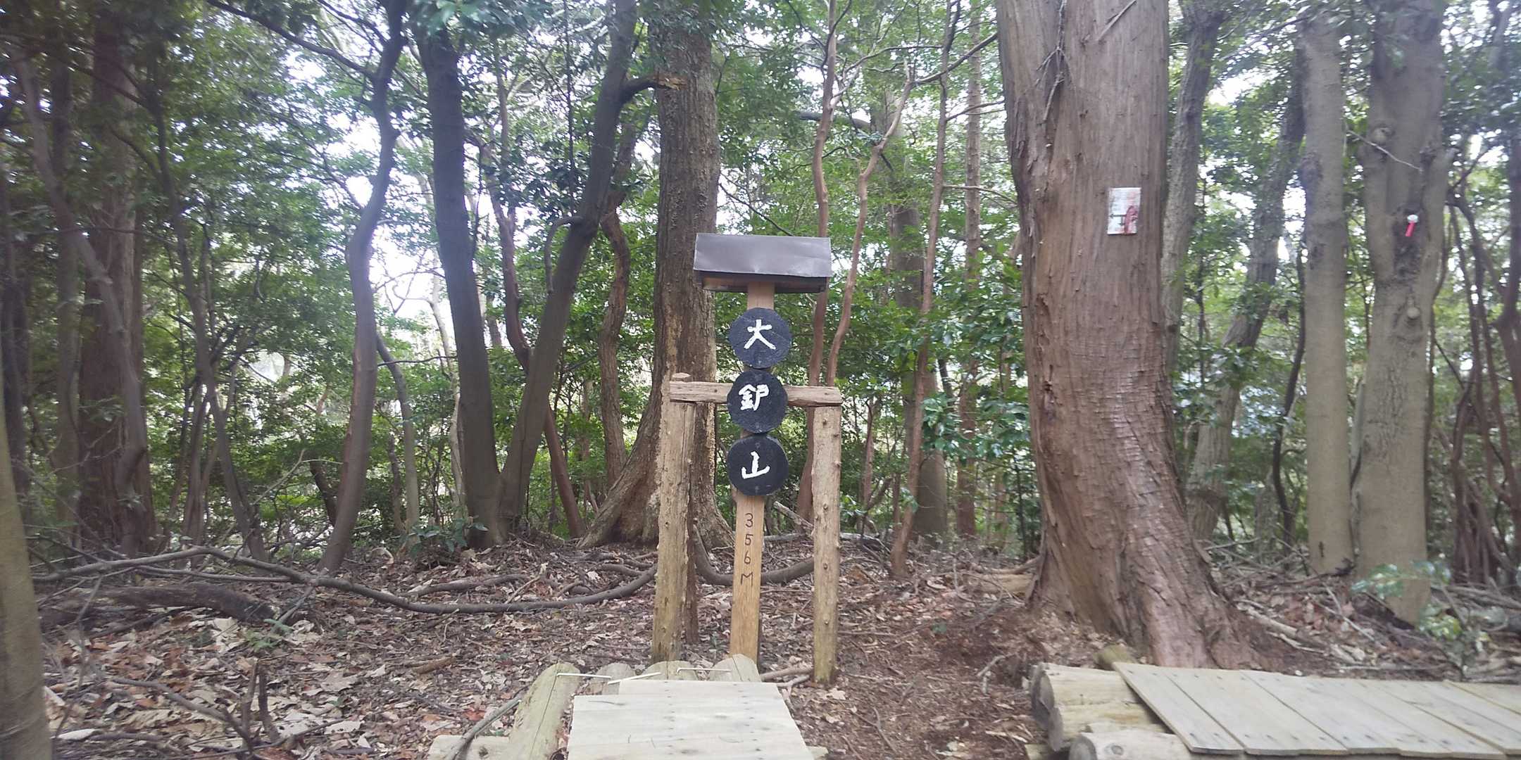 大鈩山‼️オオダタラヤマ、頼む🙏
フリガナ付けて下さい🙇
いやっ、勉強しましょう😣
あざらしは、読めなかった😁