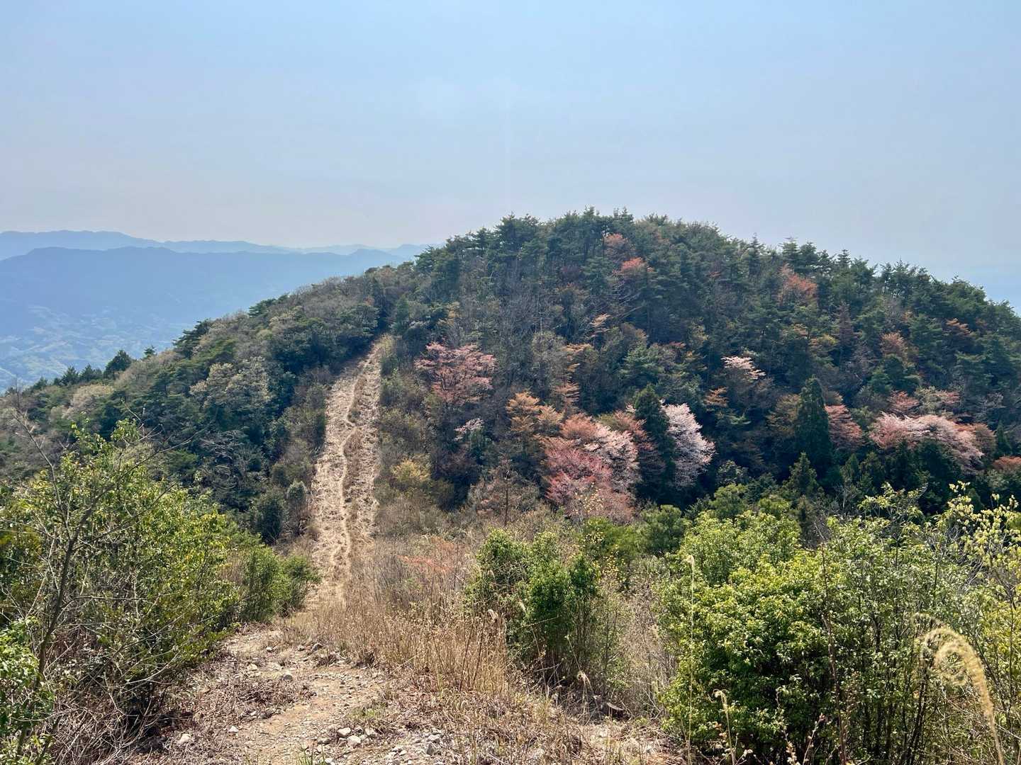 戻りもV字登山道