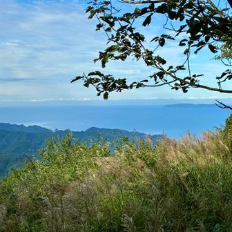 粟島が右に