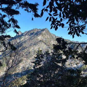 おお。
大日山と稲村ヶ岳がしっかり見えました。