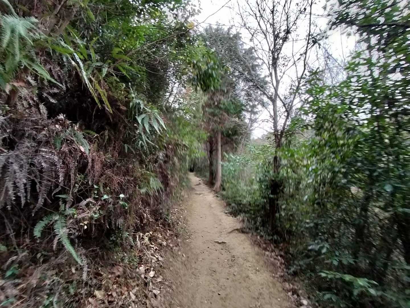 お山歩を楽しみます🚶