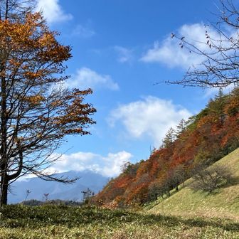 雁峠に戻りました
正面に雲を被った甲武信岳