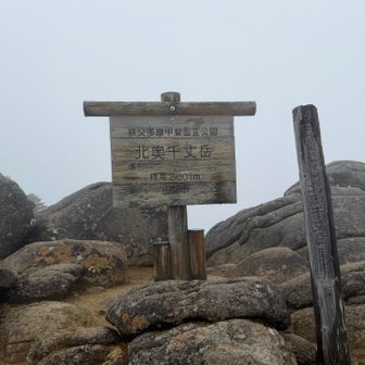 そして分岐まで戻って、、

2500m峰129/151
北奥千丈岳✨