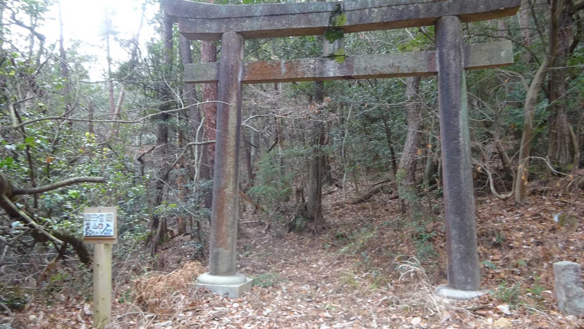 昔の登山道は鳥居からだけど林道が開かれているので林道から登る