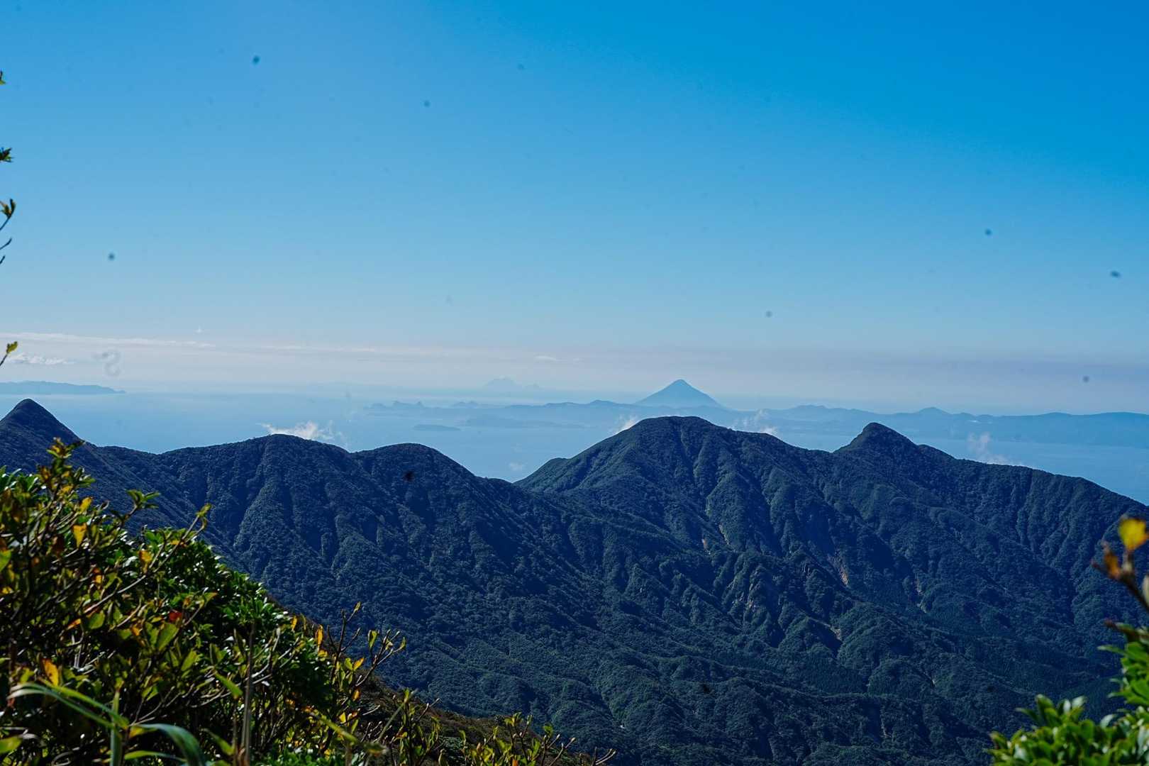 垂桜コース登山口-大箆柄岳 往復コースの写真