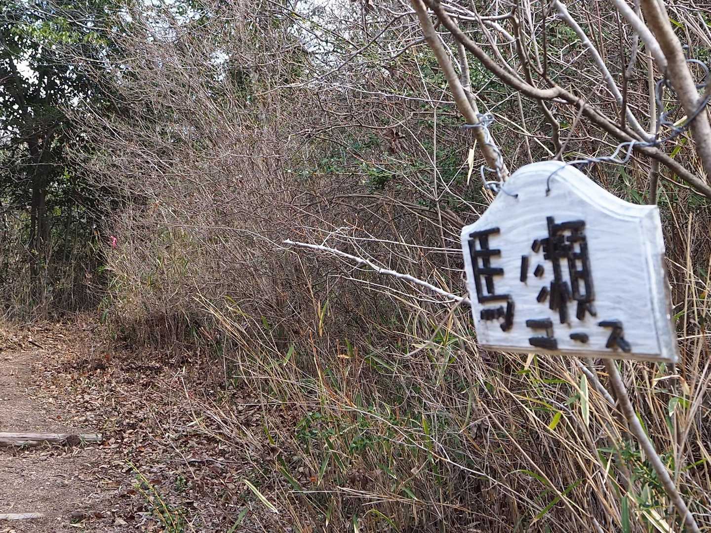 今度は馬の背へ