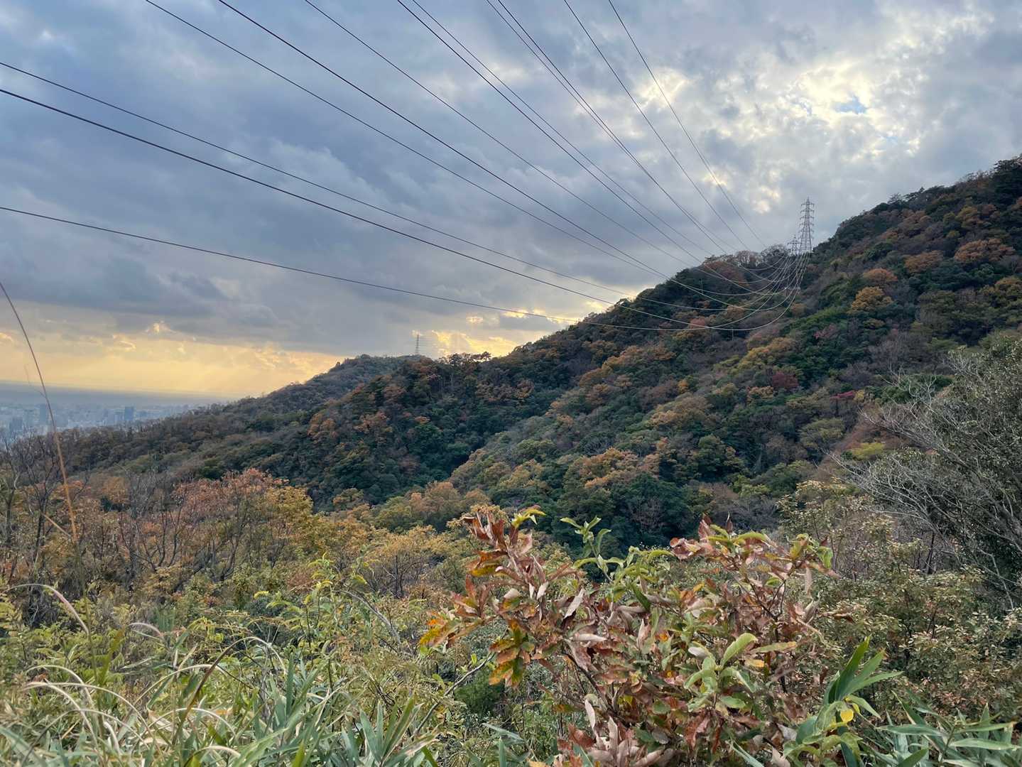 摩耶ケーブル下バス停 周回コースの写真