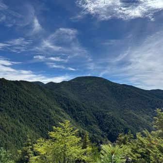三宝山、雄大な山。埼玉県最高地点かつ一等三角点もある山にも関わらず知名度が低い。もっと知られても良いと思いました。