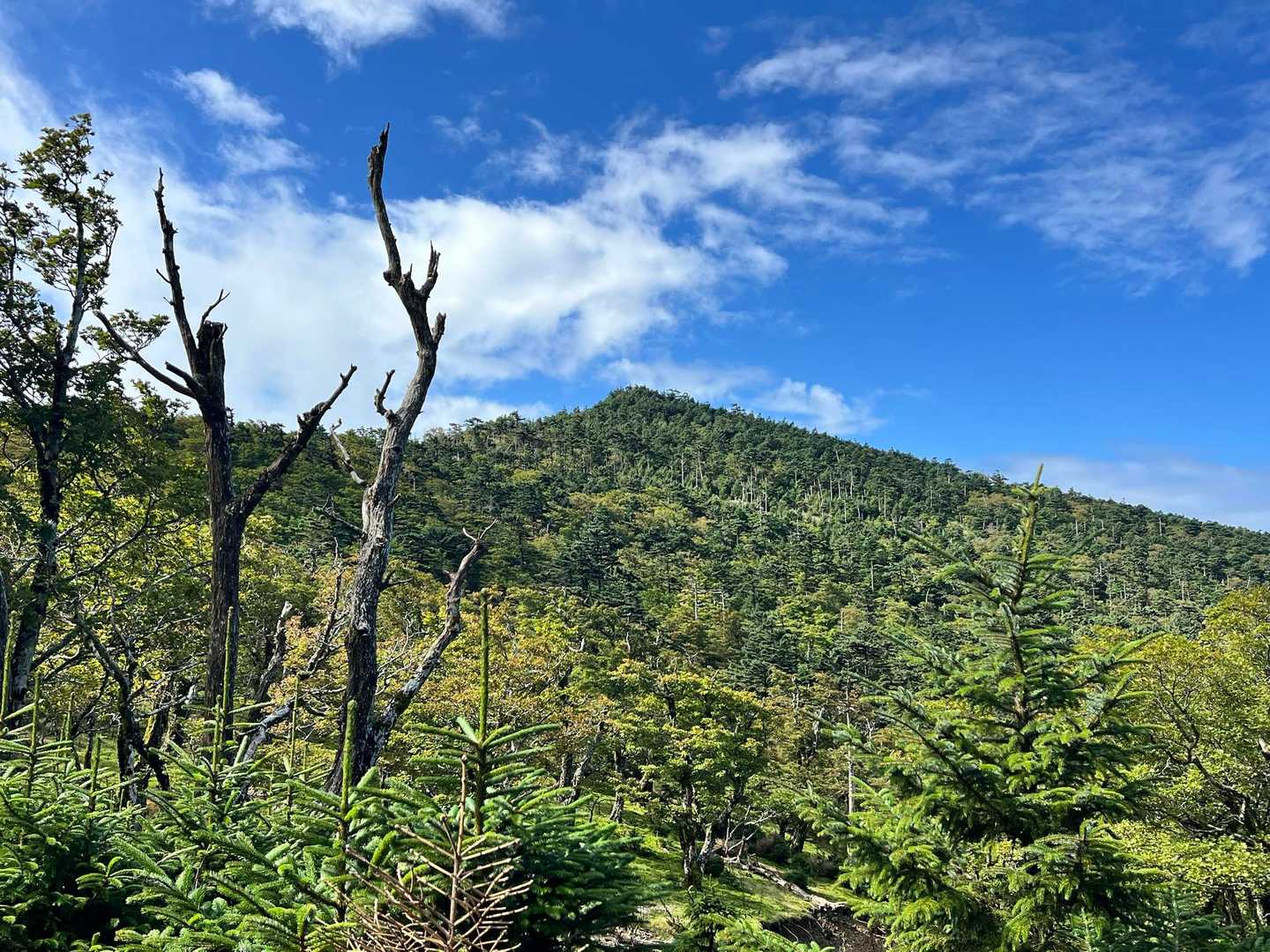 ピーク⛰️カッコいいですね👍