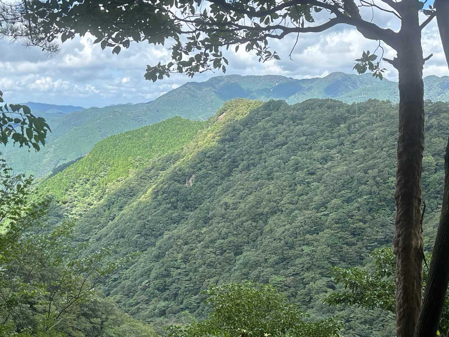 未踏の国見山
