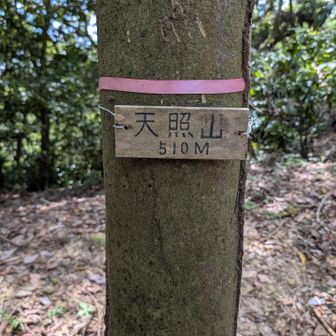 もちろん立ち寄りました