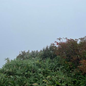 立山方面　真っ白