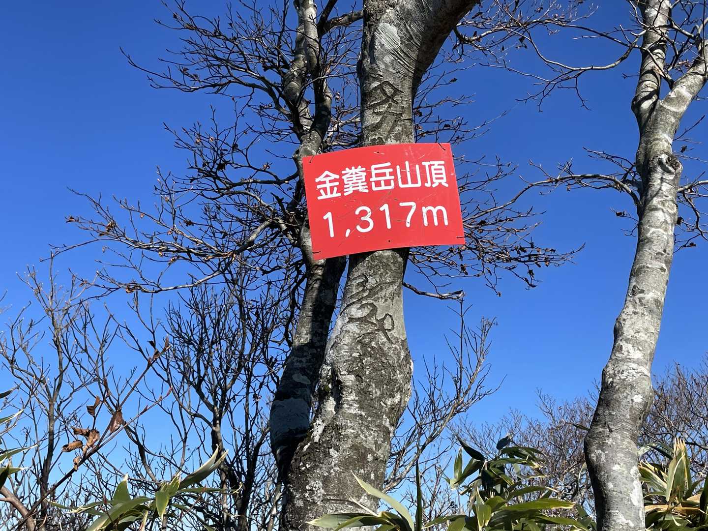 金糞岳
