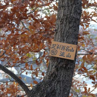 13座目、流山、目標達成！