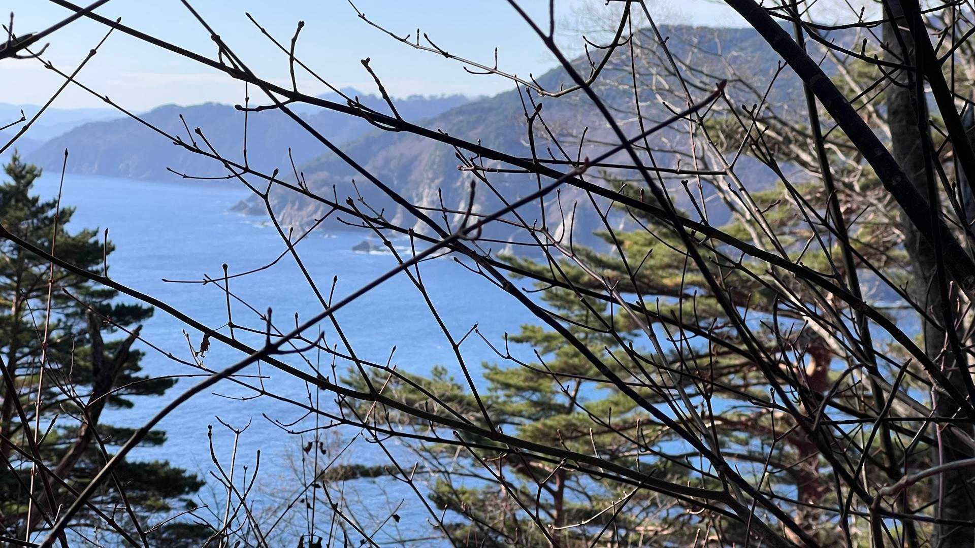 これが冬の海？　最高に綺麗でした
ここから正面・左右と綺麗な🌊を観ながら進みます