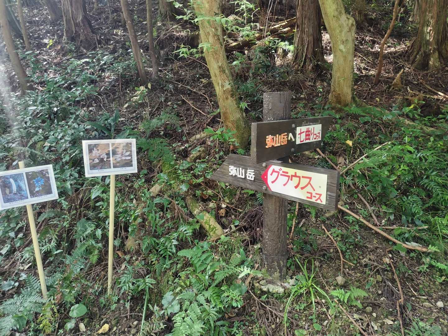 弥山岳 往復コースの写真