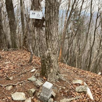 そのまま尾根沿いに歩いて、榊山の山頂に到着！！
こちらも眺望なし。

何故かこっちの方が南峰より低い(^◇^;)