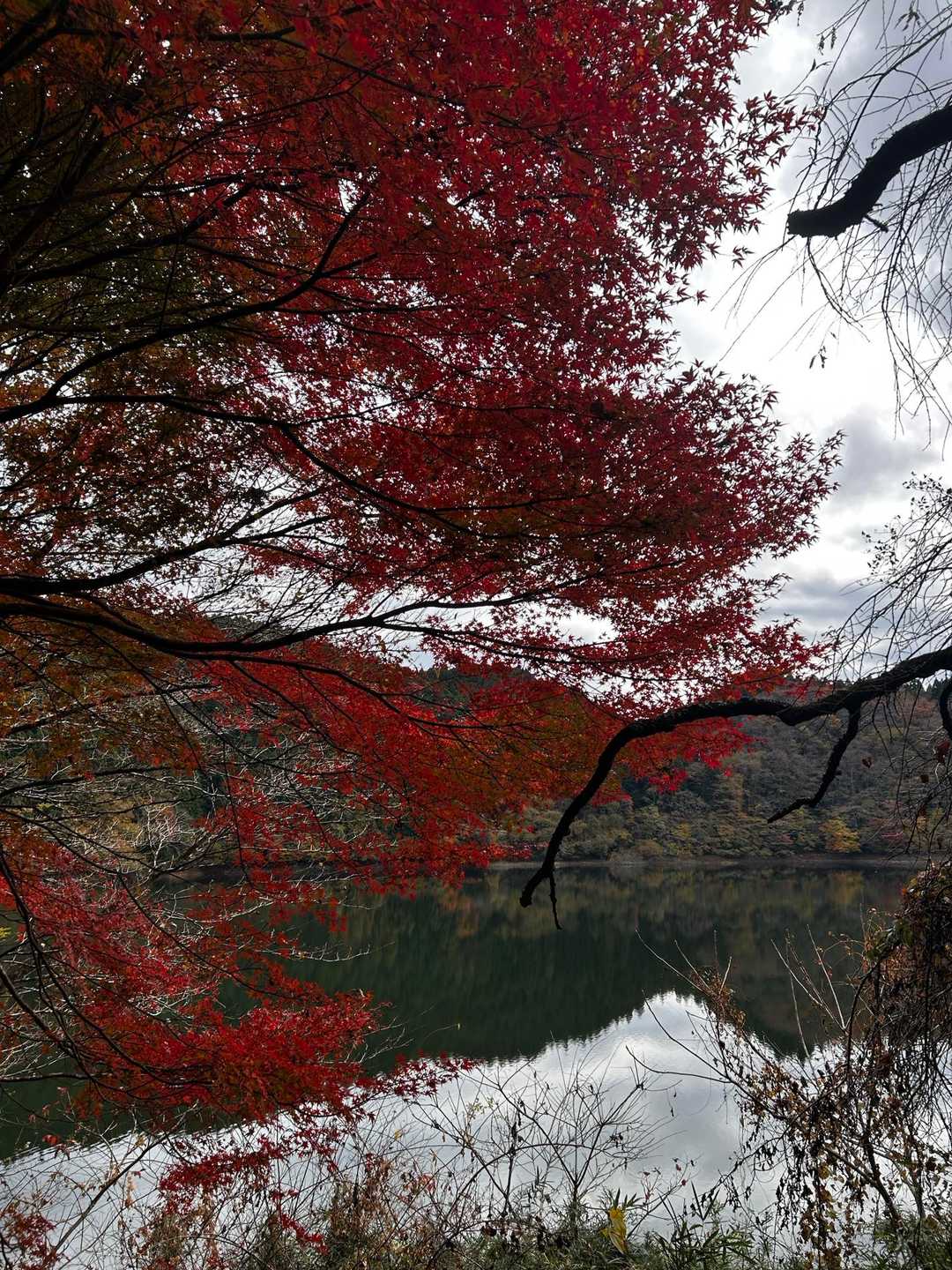 気づいたら11月も後半
