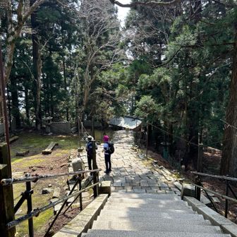 神社のXの写真撮ってもらいました