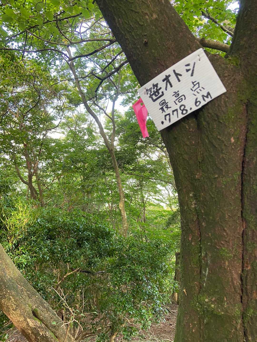 ふと見つけた山名版。
