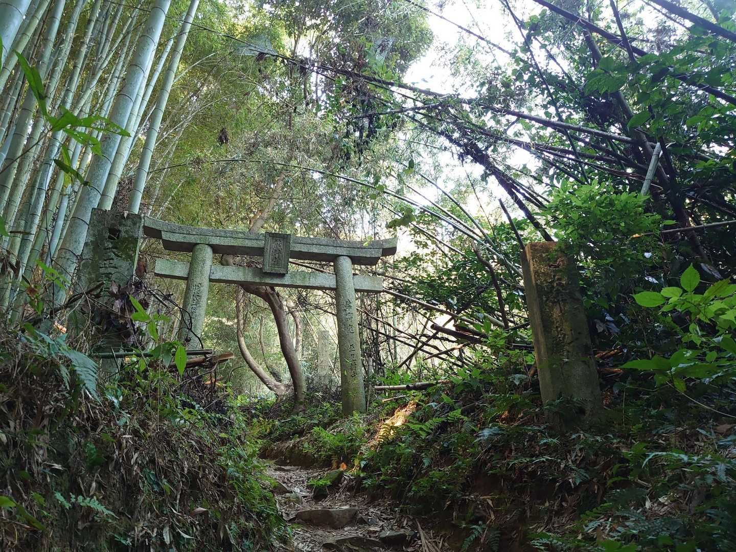 許斐山-王丸西登山口 周回コースの写真