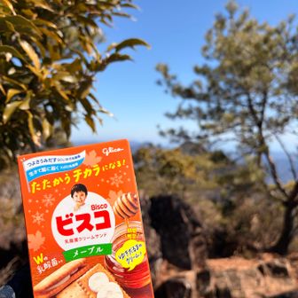 おやつはビスコメープル味