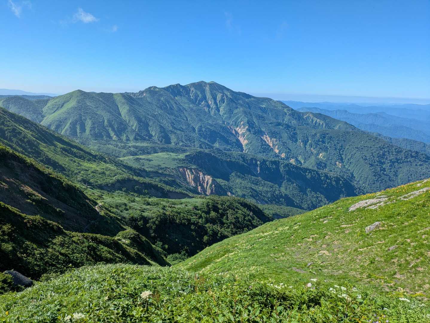 でっかい山と可憐な花達