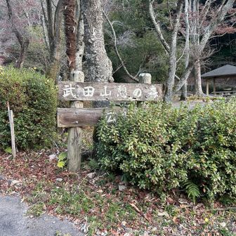 ココからスタート▶️