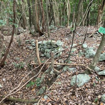 こちらは山頂標識がありました。山城跡ではないだろうか...。