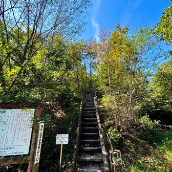 西山登山口に下りてきました