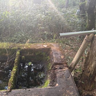 あれ❓水場の水が💦避難小屋の前は出ているそうです。事前の調べが不十分でして、飲み物も1Lで大丈夫か不安🫤