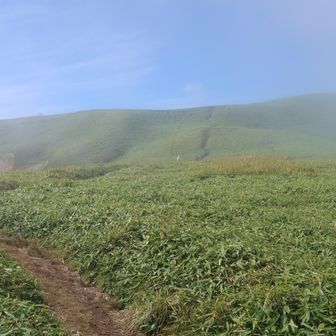 でも向かう山は薄っすら青空👍