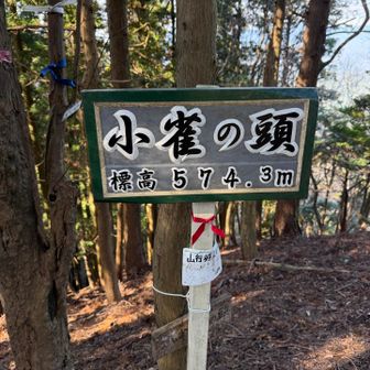 眺望なし😝錫杖ヶ岳よりも辛かった💧
今回は距離&高低差よりもキツく感じたよ✨