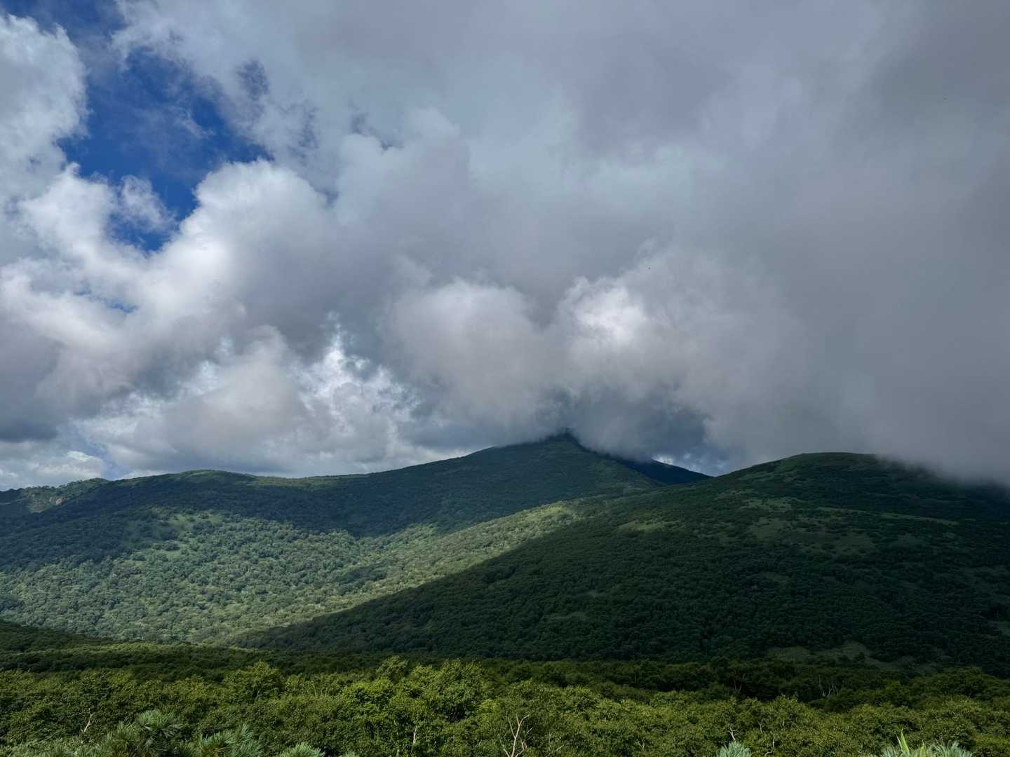 新見峠登山口-白樺山 往復コースの写真