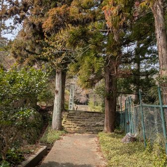 甲山からは市街地を歩いて鷲林寺へ