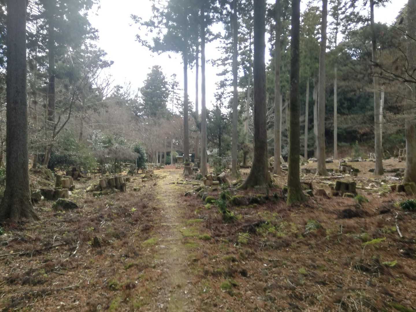 旧国束寺跡、いつ来ても神秘的な雰囲気