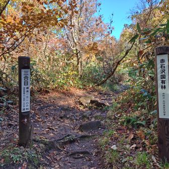 気がつけば3合目
6合目からはあっという間だった