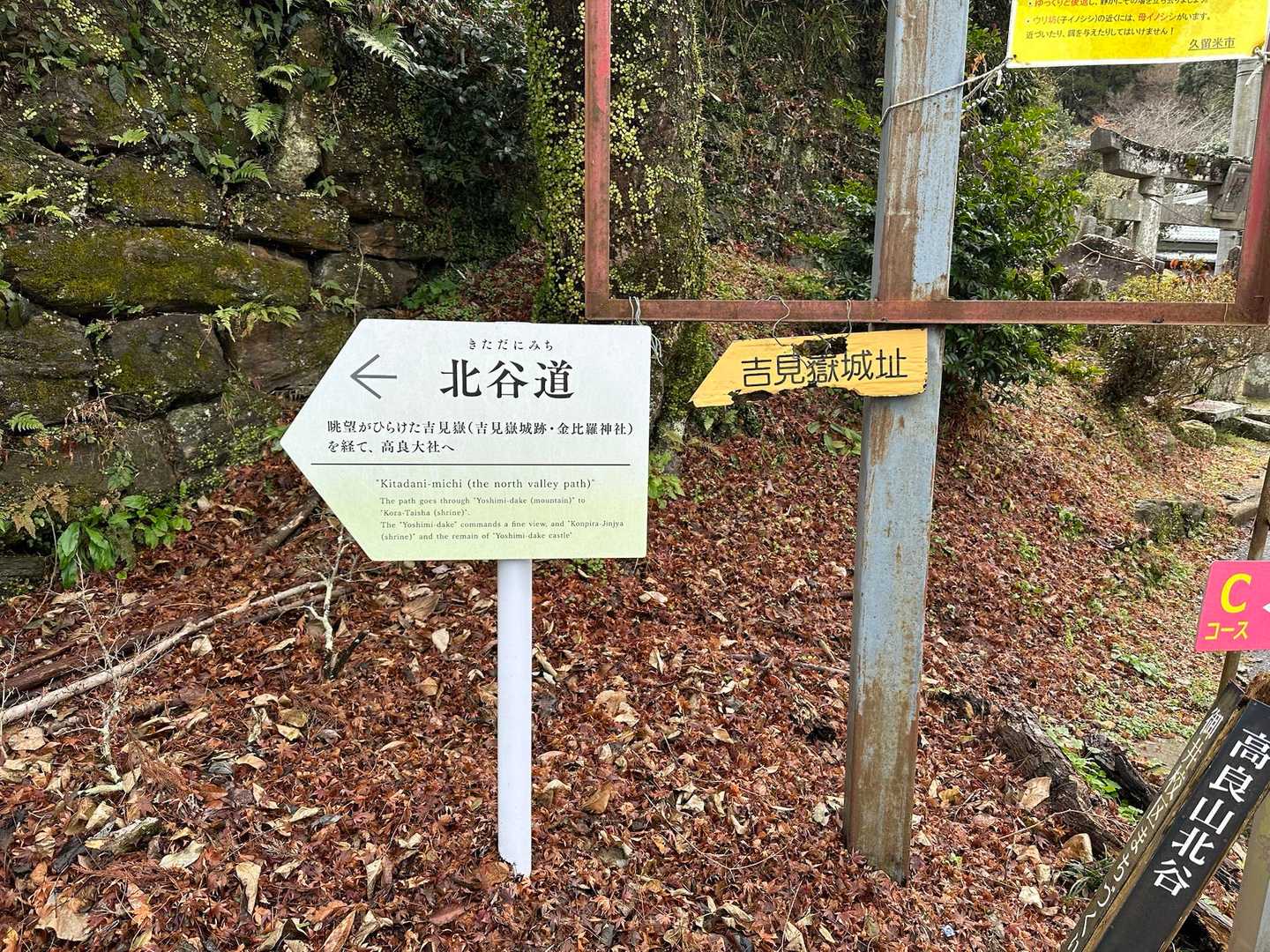 こちらの道を歩いて行きます