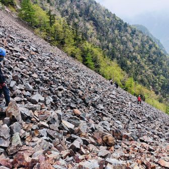 鋸岳から戸台川まで
標高差1,400mを一気に下ります
鞍部からは標高差600mほどガレ場