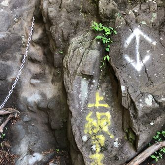 bodhi_grand(六日和田 登)