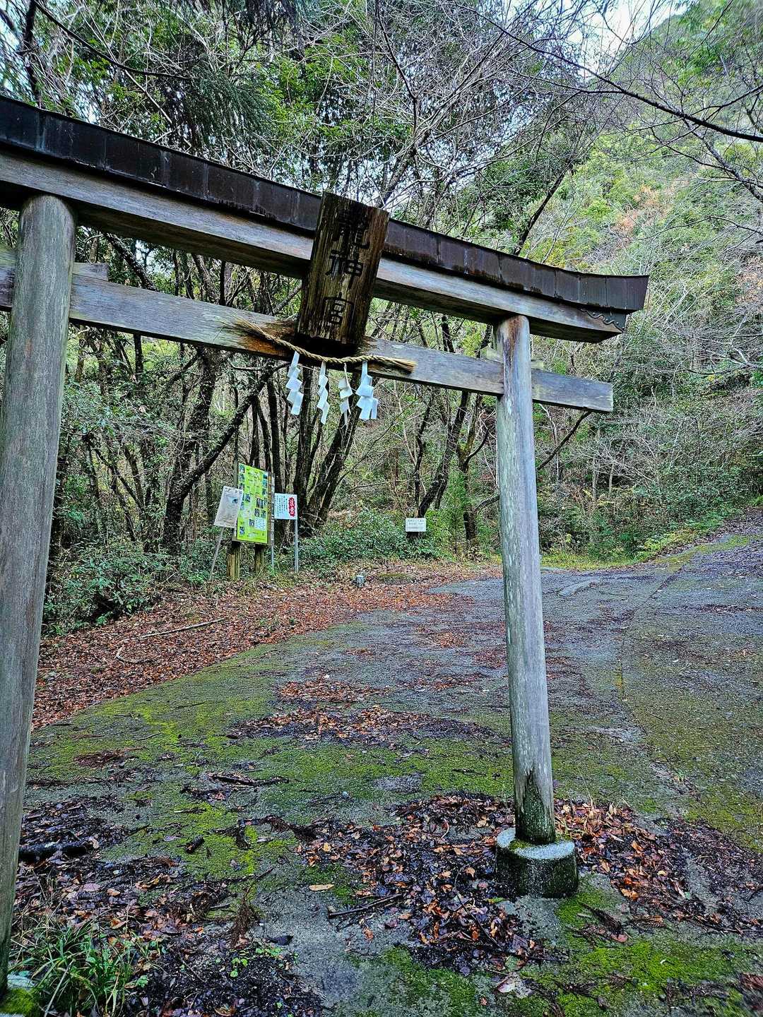 佐向谷登山口🅿️🚗に到着🚗
結構狭い道ですがここまで入ってこれます😳

ここにトイレはありませんが龍神宮まで行くとトイレが有ります🚻