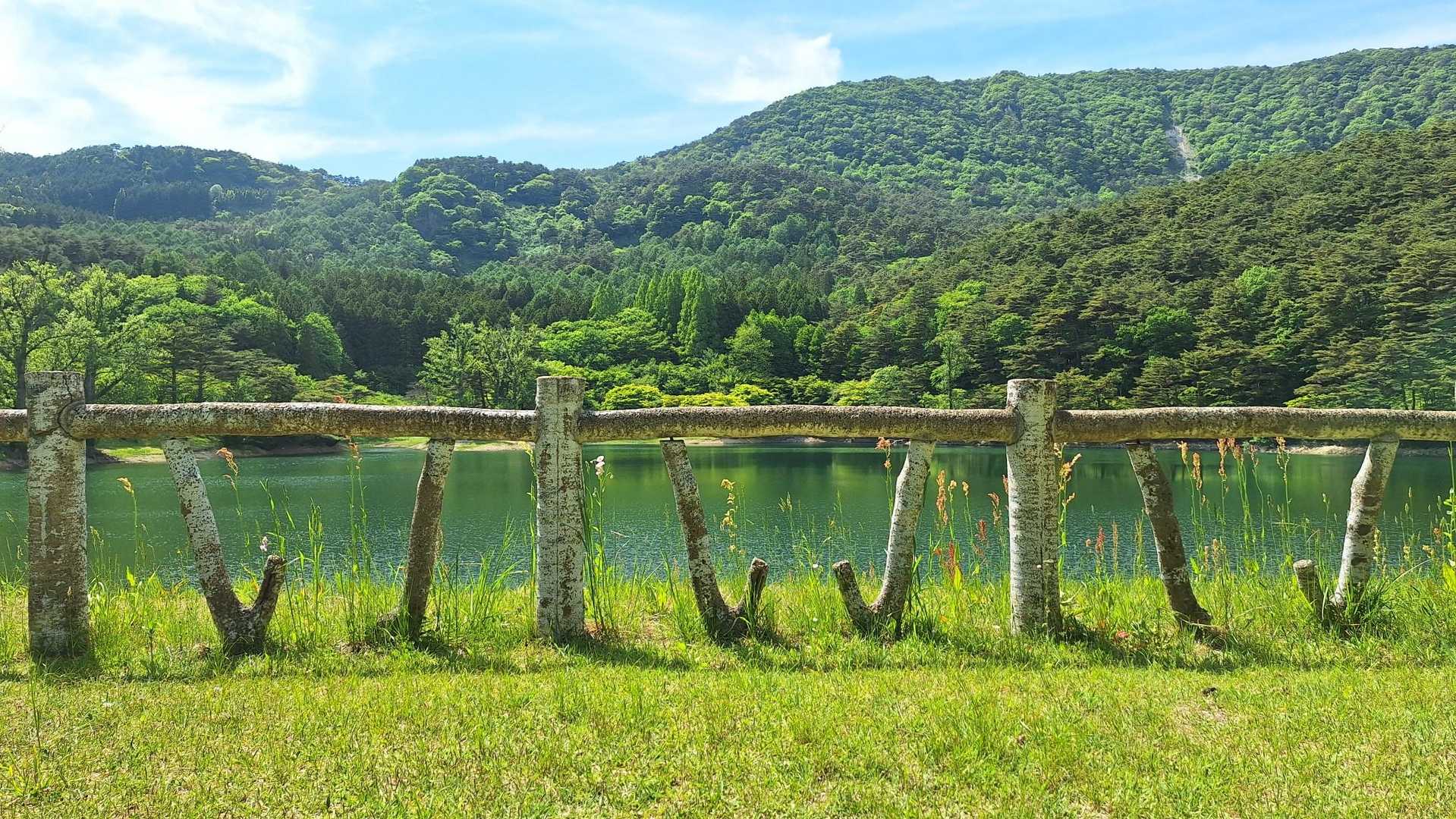 半田山 周回コースの写真
