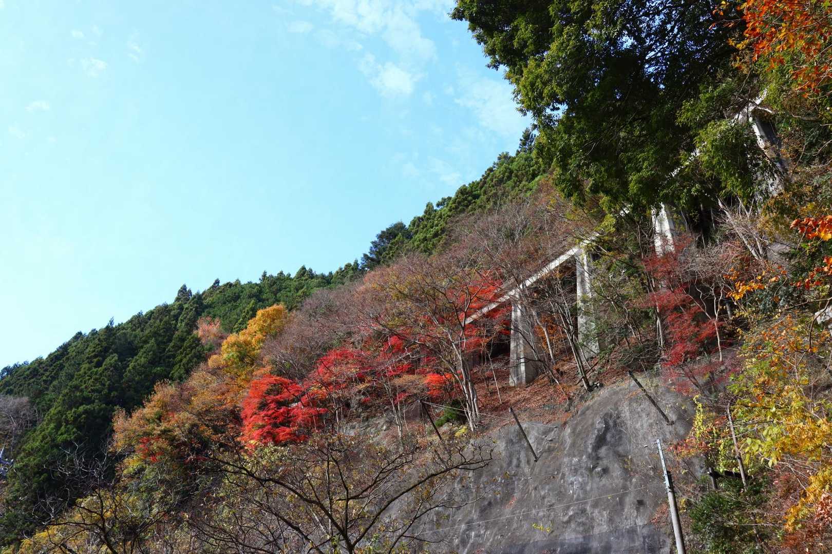 良い風景です。