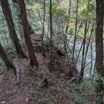 ここは島というか、突き出ている所なのか…
地図を見ると確かに島なのですね…
地続きに思いましたが🤔